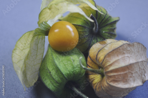 Fizalis, fruta suculenta e decorativa photo