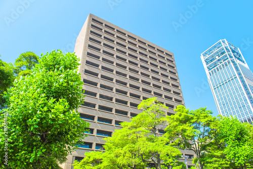 Obraz w ramie 広島市役所の外観