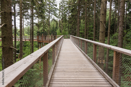 Path above the trees is located in Jansk   L  zn  . Czech Republic