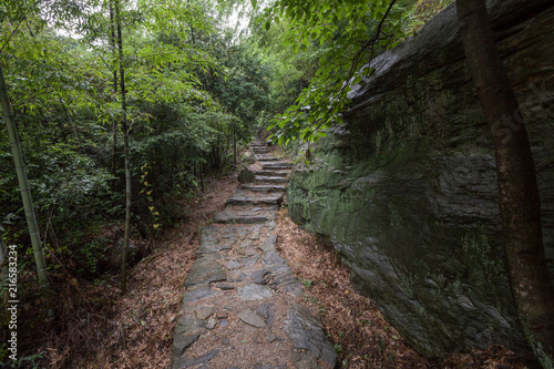 Forest Scenery  forest trail in Mount Lu  Lushan in Jiujiang City  Jiangxi Province China. Dense forest with heavy mist and fog in the background  Lushan UNESCO Global Geopark  World Heritage site.