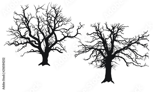Tree Silhouette