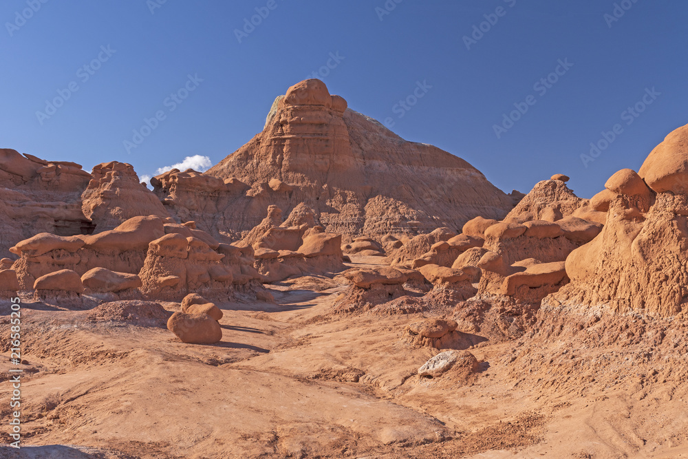 Fototapeta premium Morning light in a Remote Red Rock Canyon