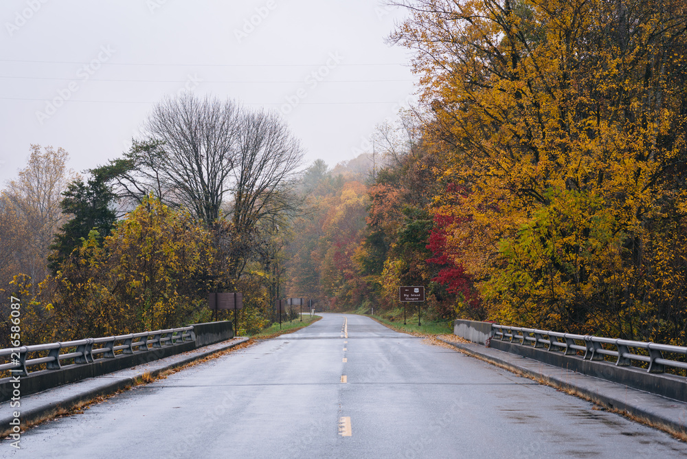 Fototapeta premium Jesień kolor i most nad rzeką James na Blue Ridge Parkway, w pobliżu Big Island, Virginia.