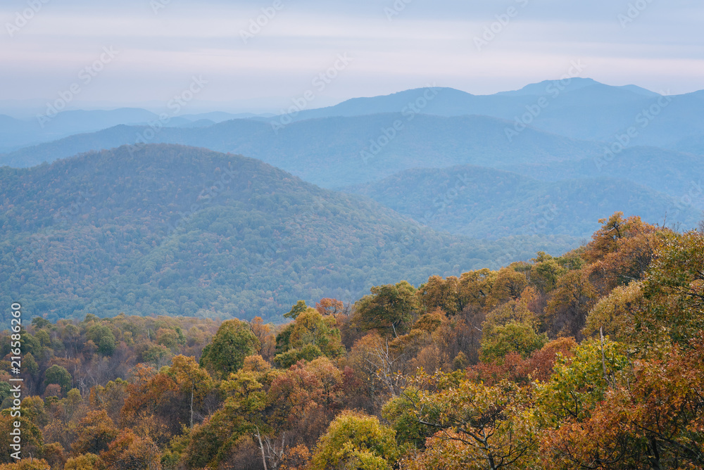 Autumn view of Blue Ridge mountain ridges from Skyline Drive in Shenandoah National Park, Virginia