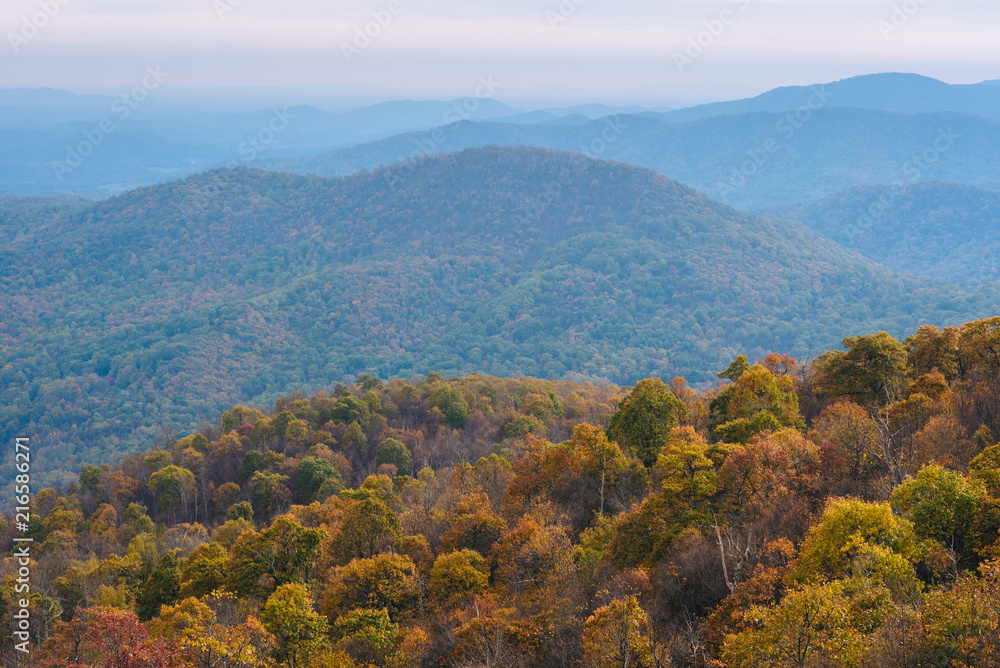 Autumn view of Blue Ridge mountain ridges from Skyline Drive in Shenandoah National Park, Virginia