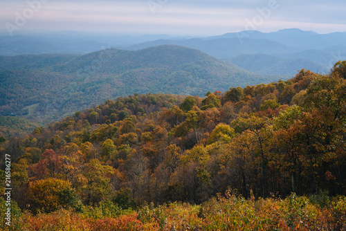 Fototapeta Naklejka Na Ścianę i Meble -  Autumn view of Blue Ridge mountain ridges from Skyline Drive in Shenandoah National Park, Virginia