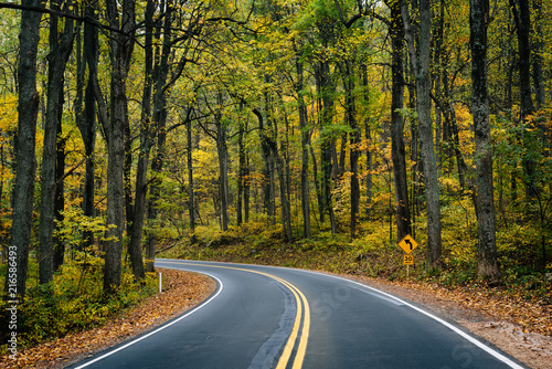 Early autumn color along Skyline Drive in Shenandoah National Park  Virginia