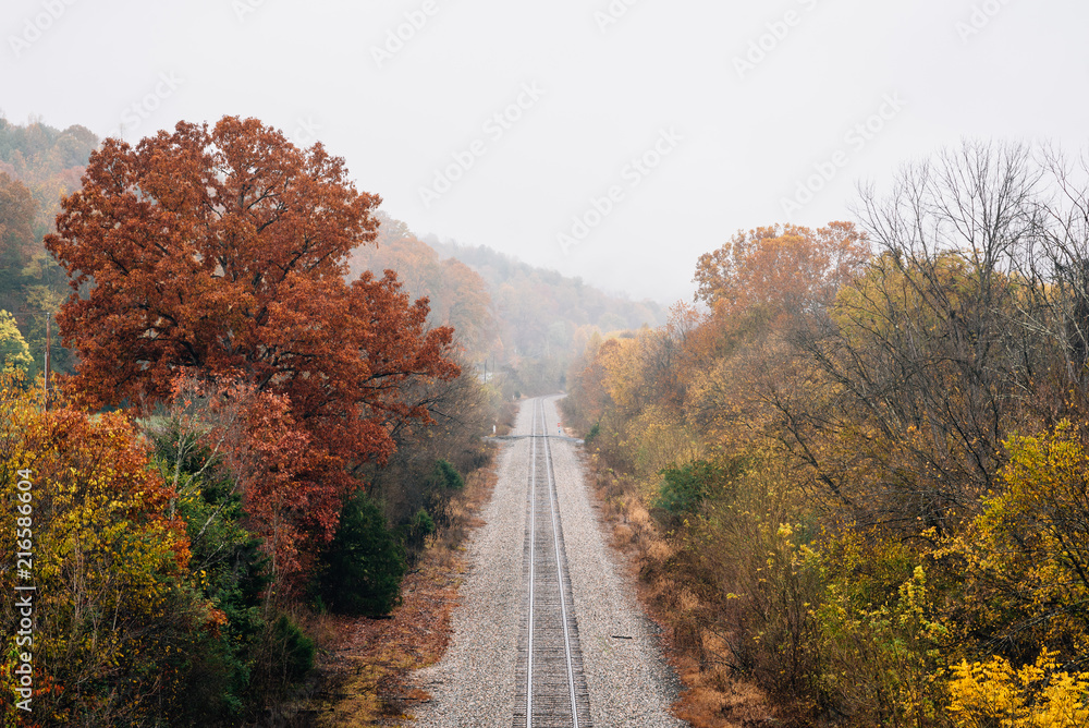 Fall color along a railroad track, from the Blue Ridge Parkway in Virginia