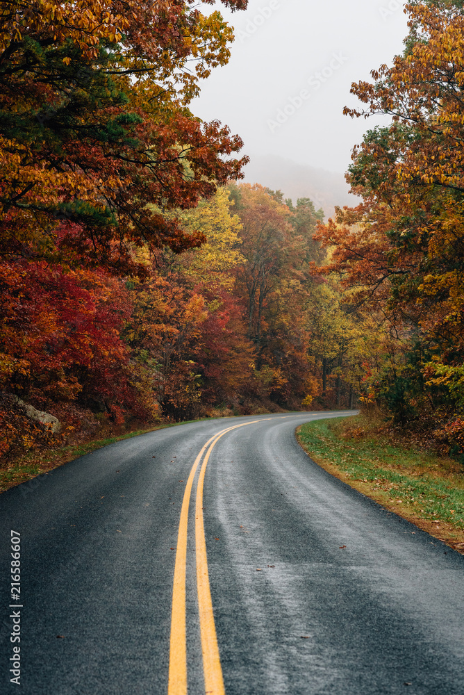 Fall color along the Blue Ridge Parkway in Virginia.