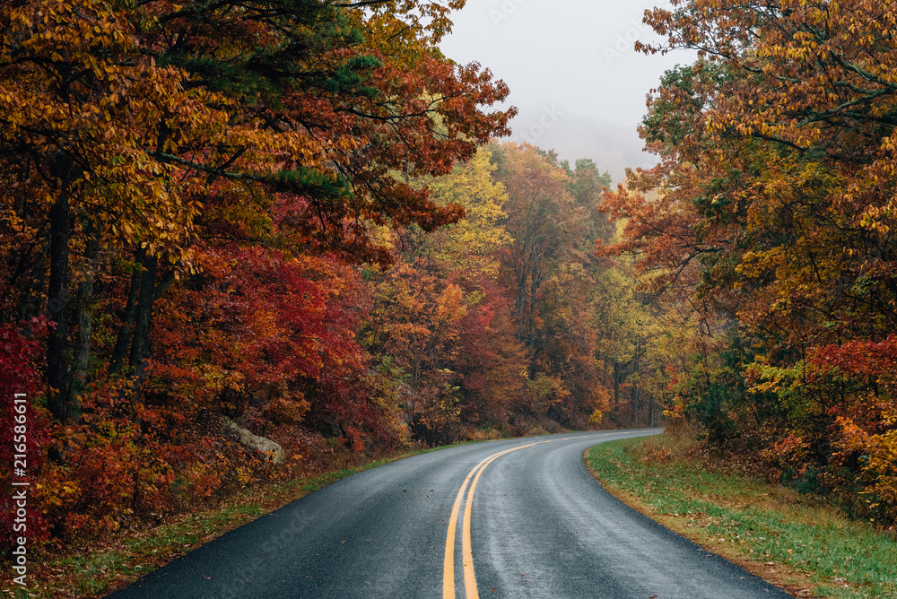 Fall color along the Blue Ridge Parkway in Virginia.