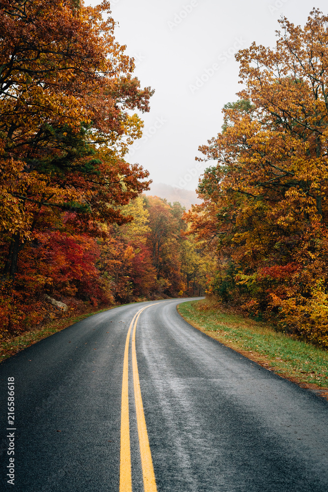 Fall color along the Blue Ridge Parkway in Virginia. Fall color along the Blue Ridge Parkway in Virginia.