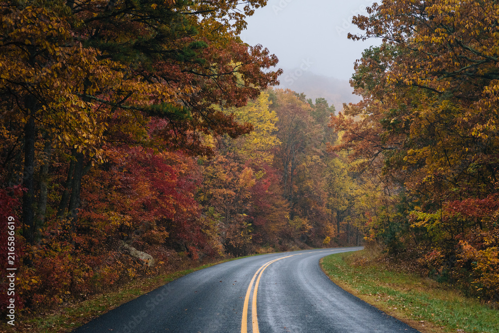 Fall color along the Blue Ridge Parkway in Virginia. Fall color along the Blue Ridge Parkway in Virginia.