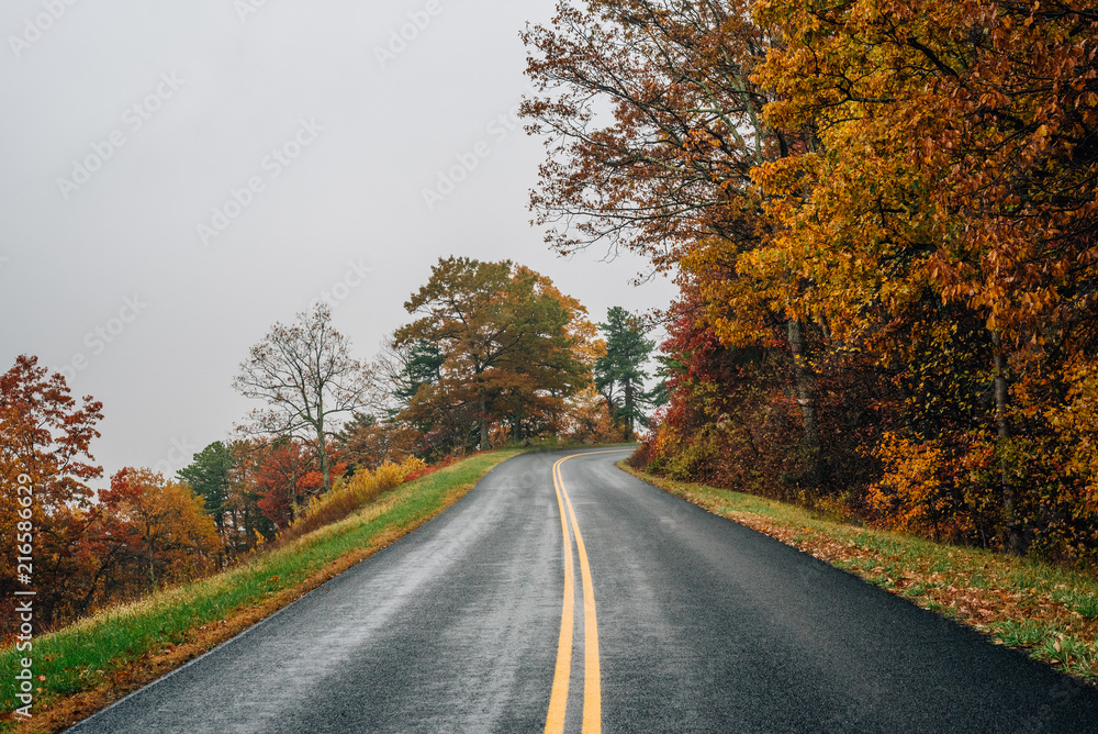 Fall color along the Blue Ridge Parkway in Virginia. Fall color along the Blue Ridge Parkway in Virginia.