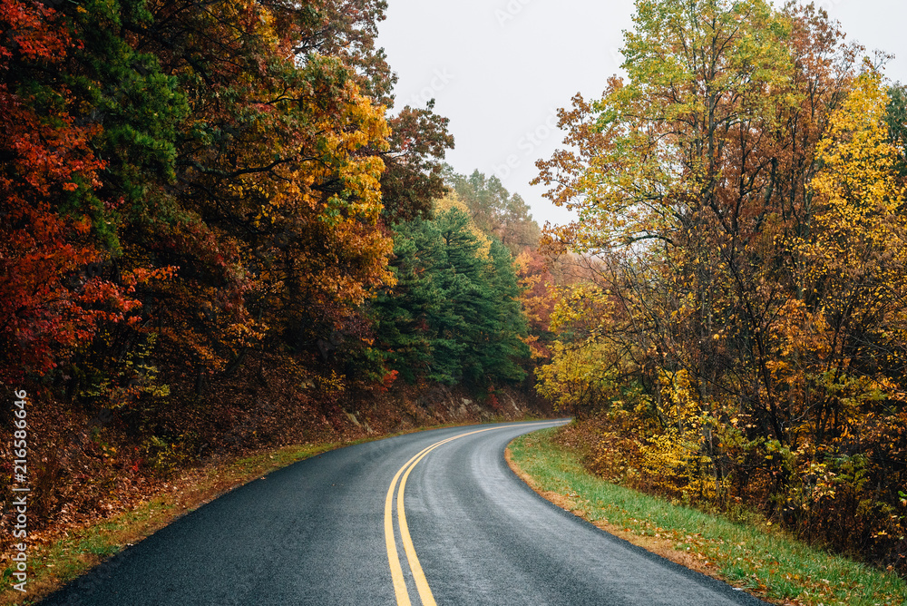 Fall color along the Blue Ridge Parkway in Virginia. Fall color along the Blue Ridge Parkway in Virginia.