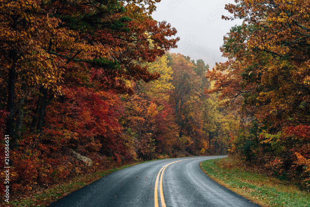 Naklejka premium Fall color along the Blue Ridge Parkway in Virginia.