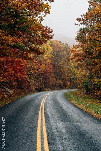 Fall color along the Blue Ridge Parkway in Virginia.