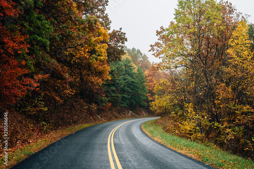 Fall color along the Blue Ridge Parkway in Virginia. © jonbilous
