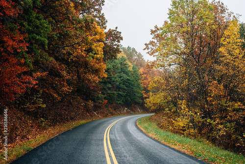 Fall color along the Blue Ridge Parkway in Virginia.