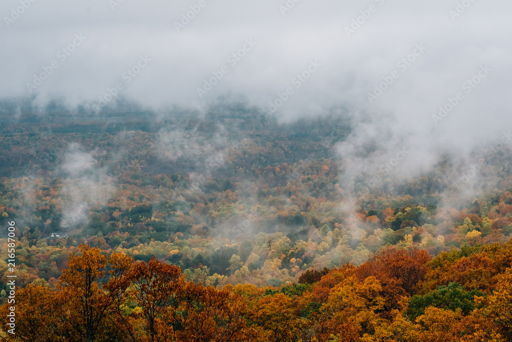 Foggy autumn view from the Blue Ridge Parkway, in Virginia.