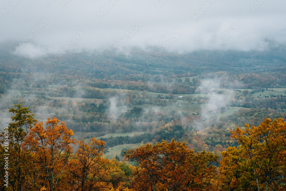 Foggy autumn view from the Blue Ridge Parkway, in Virginia. Foggy autumn view from the Blue Ridge Parkway, in Virginia.