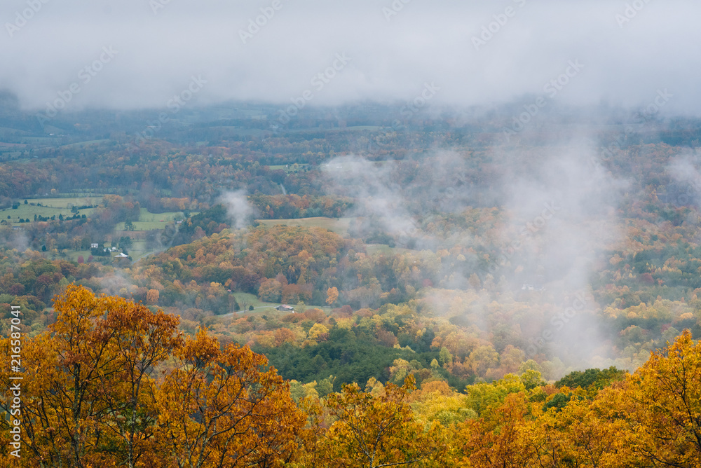 Fototapeta Foggy autumn view from the Blue Ridge Parkway, in Virginia.