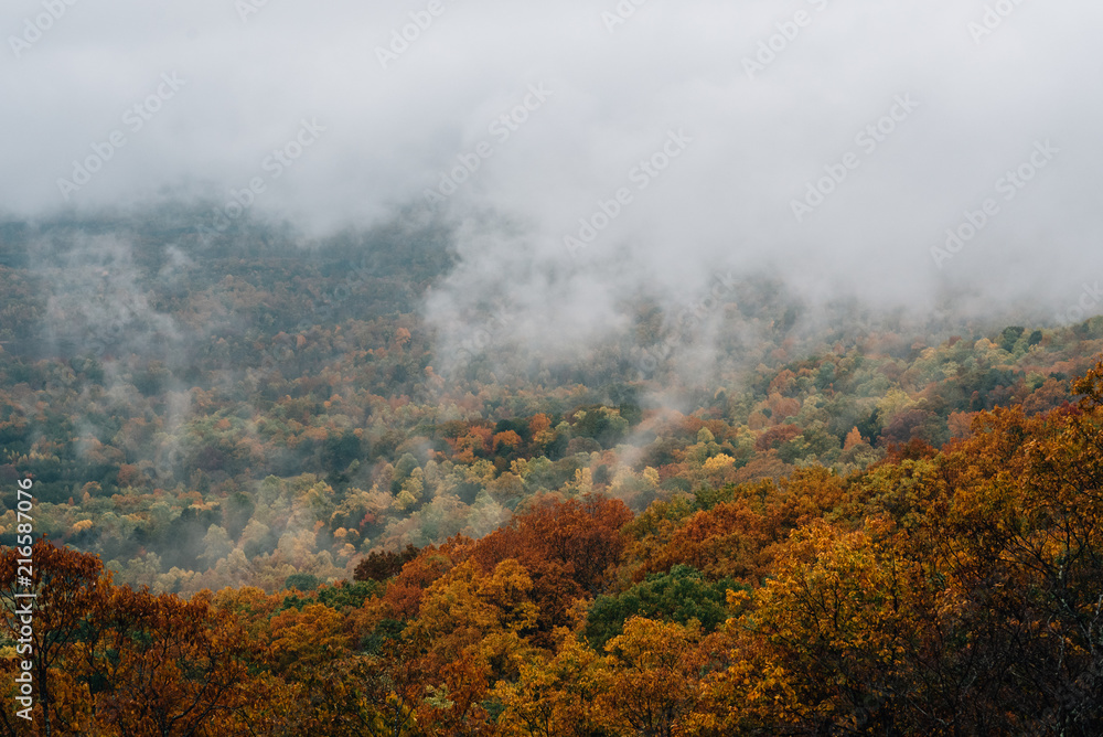Foggy autumn view from the Blue Ridge Parkway, in Virginia. Foggy autumn view from the Blue Ridge Parkway, in Virginia.