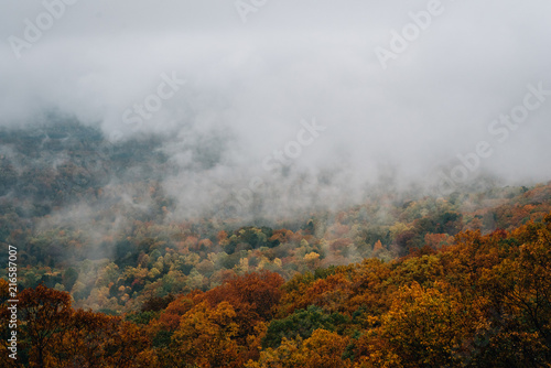Foggy autumn view from the Blue Ridge Parkway, in Virginia. © jonbilous