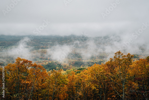 Foggy autumn view from the Blue Ridge Parkway, in Virginia.