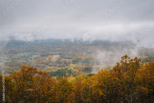 Foggy autumn view from the Blue Ridge Parkway, in Virginia.