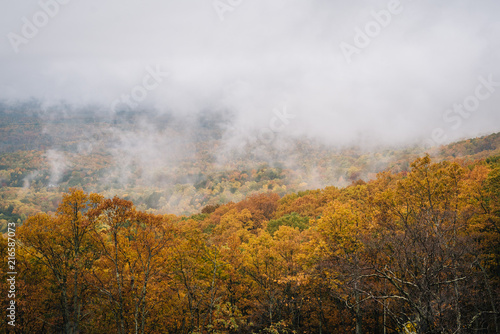Foggy autumn view from the Blue Ridge Parkway, in Virginia. © jonbilous