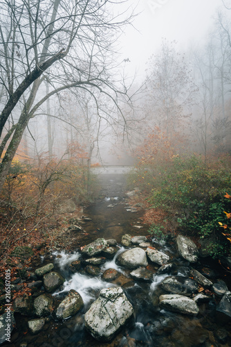 Foggy autumn view of the Tye River  near Crabtree Falls  in George Washington National Forest  Virginia.