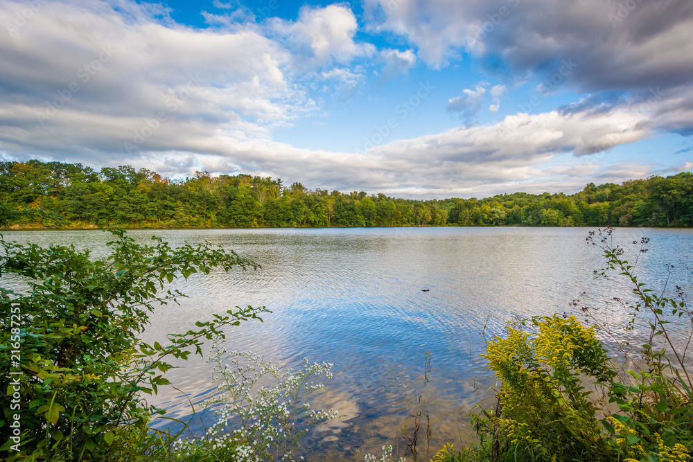 Fototapeta premium Lake Williams, in York, Pennsylvania