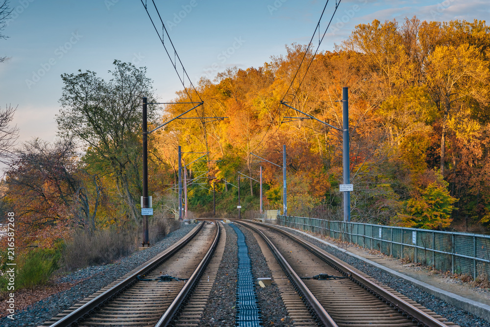 Light Rail tracks and autumn color in Baltimore, Maryland.