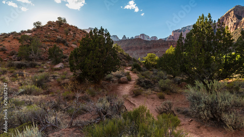 Watchman Trail