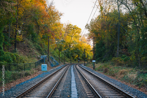 Light Rail tracks and autumn color in Baltimore, Maryland.