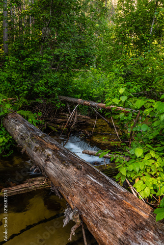 Waterfall On Tacoma Creek in the Colville National Forest