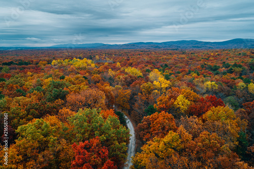 View of a road and autumn color at Big Levels, in George Washington National Forest, Virginia.