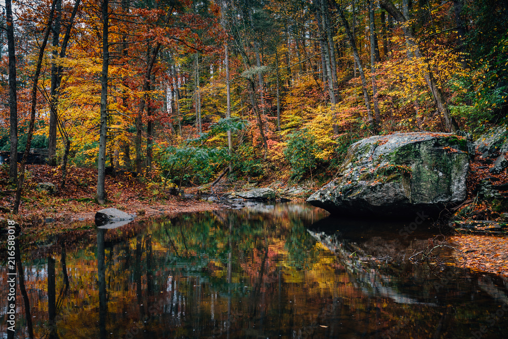 Autumn color on Otter Creek, on the Blue Ridge Parkway in Virginia. Autumn color on Otter Creek, on the Blue Ridge Parkway in Virginia.