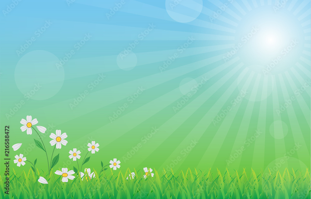 green nature background with green grass, flower, blue sky and sun rays in fresh day, vector draw