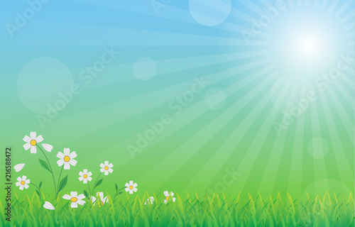 green nature background with green grass, flower, blue sky and sun rays in fresh day, vector draw