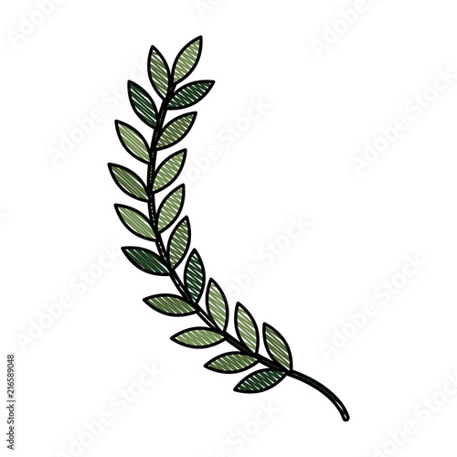 leafs spike decorative icon vector illustration design