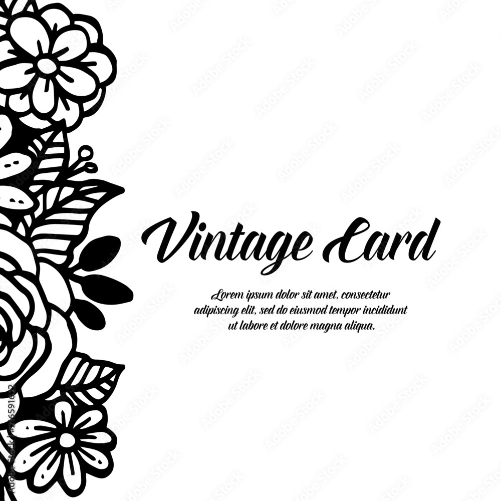 Collection tmeplate floral vintage card vector illustration