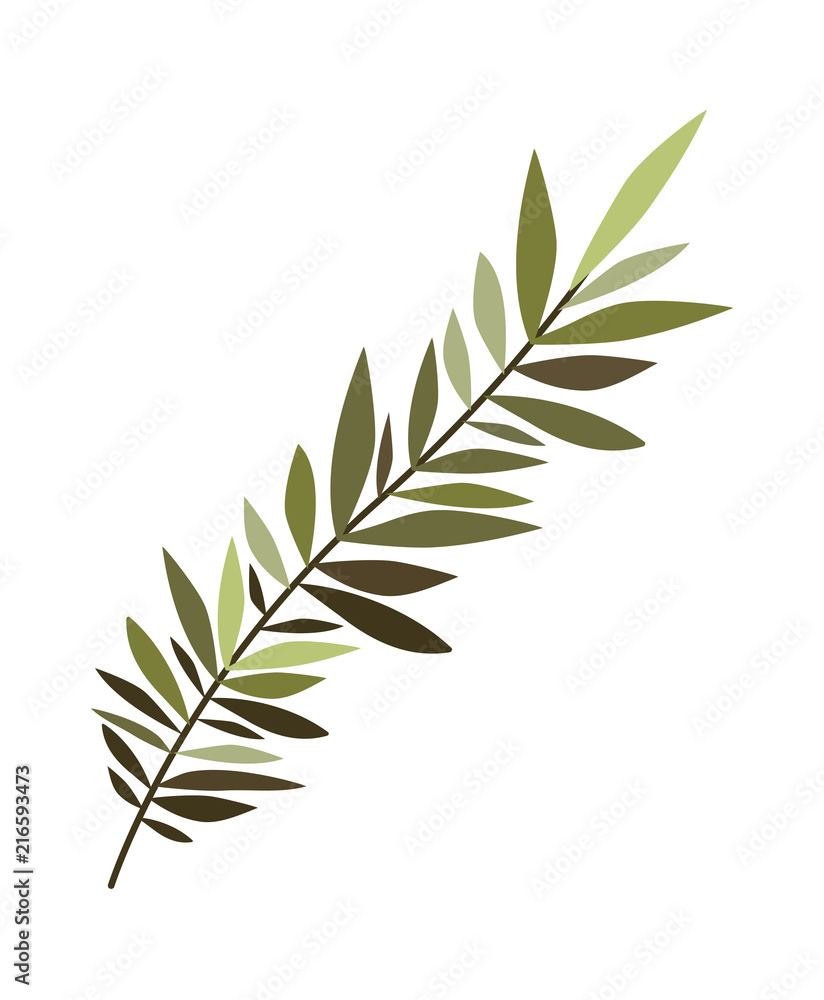 leafs spike decorative icon vector illustration design leafs spike decorative icon vector illustration design