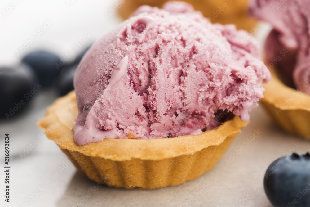 Fruit ice cream with blueberries Fruit ice cream with blueberries