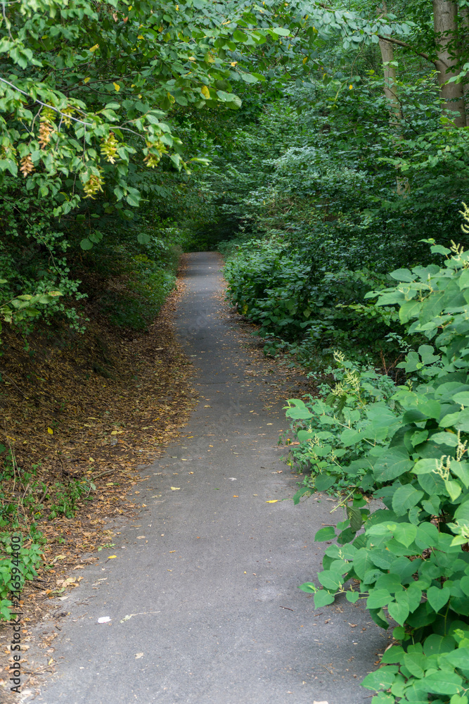 Path Path