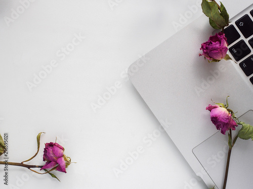 White top, laptop, roses