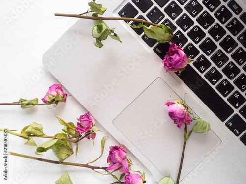 White top, laptop, roses