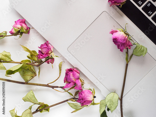 White top, laptop, roses