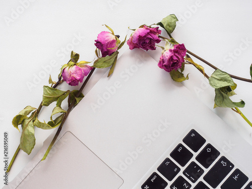 White top, laptop, roses