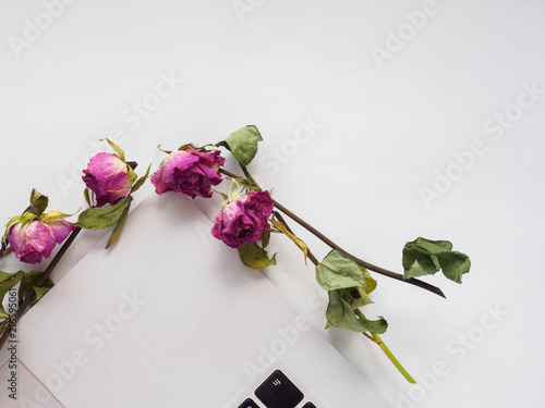 White top, laptop, roses